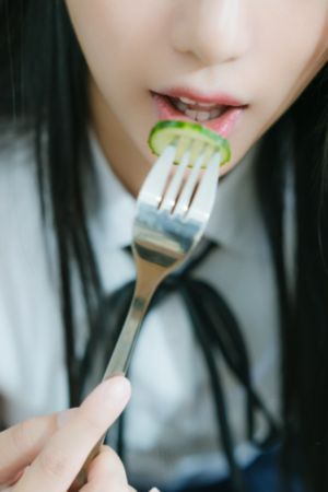 《富士见寒冷前线指挥官》