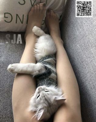 香槟早餐电影