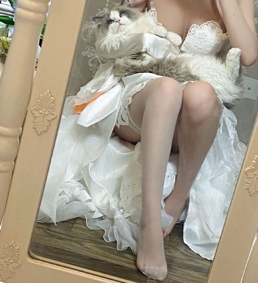 玫瑰故事40集免费观看